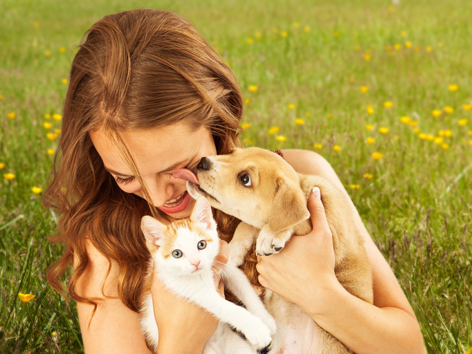 Lawyers Discuss Pet Custody Laws in New Jersey Divorce Cases